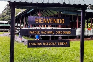 Puntarenas: Corcovado National Park and Sirena Station Tour