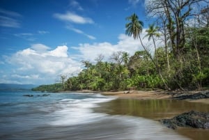 Corcovadon kansallispuisto: Kolme päivää ja kaksi yötä Corcovado