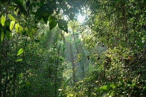 Corcovado National Park: To dage i Corcovado Costa Rica