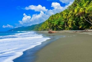 Park Narodowy Corcovado: Dwa dni Corcovado Kostaryka