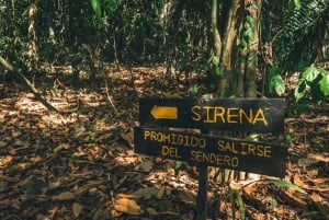Parc national de Corcovado : Deux jours à Corcovado Costa Rica