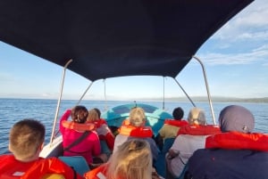 Puerto Jimenez: Corcovado nasjonalpark Sirena dagstur ALT INKLUDERT