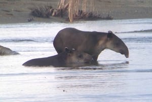 Corcovado: Sirena Station Overnight Adventure