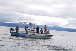Snorkeling e tour della fauna selvatica a Corcovado