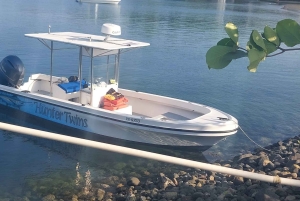 Snorkeling e tour della fauna selvatica a Corcovado