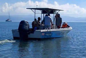 Snorkeling e tour della fauna selvatica a Corcovado