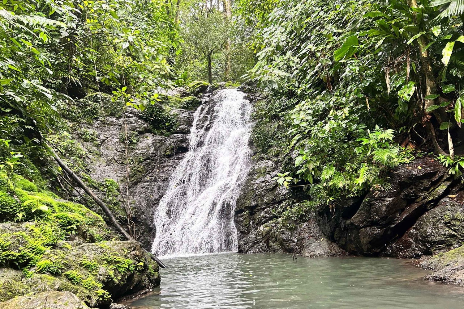 Tour ao amanhecer no Corcovado pela Los Planes Ranger Station