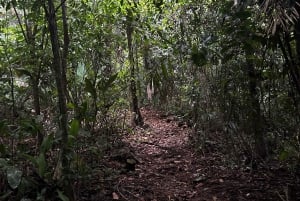 Corcovado Sunrise Tour med Los Planes Ranger Station