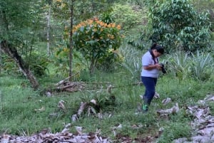 Corcovado Sunrise Tour med Los Planes Ranger Station
