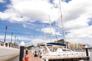 Costa Rica Catamaran: Snorkling, kajakpaddling, paddleboard och drycker