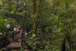 Costa Rica: Spedizione nella foresta pluviale eterna per bambini