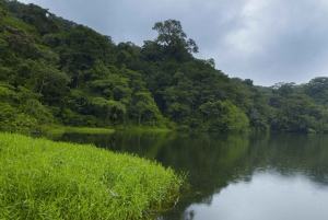 Costa Rica: Børnenes evige regnskovsekspedition