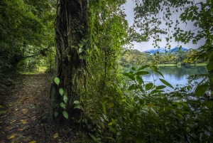 Costa Rica: Spedizione nella foresta pluviale eterna per bambini