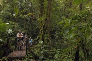 Costa Rica: Children's Eternal Rainforest Expedition