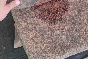 Costa Rica: Chocolate Tour