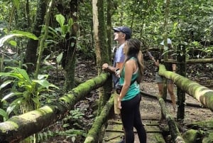 Costa Rica: Chocolate Tour