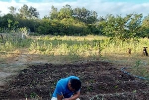 Costa Rica: Chocolate Tour