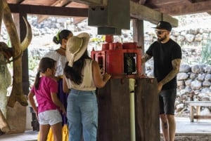 Costa Rica: Culturele en ambachtelijke tour