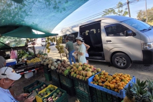 Costa Rica: Culturele en ambachtelijke tour