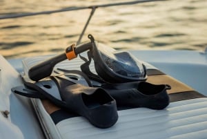 Costa Rica: Dolphin Watching & Snorkelling Private Charter