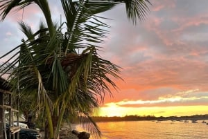 Costa Rica: Dolphin Watching & Snorkelling Private Charter