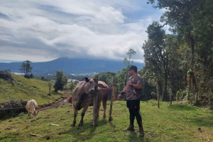 Costa Rica : Visite de la flore et de la faune, randonnée pédestre. Excursion d'une journée
