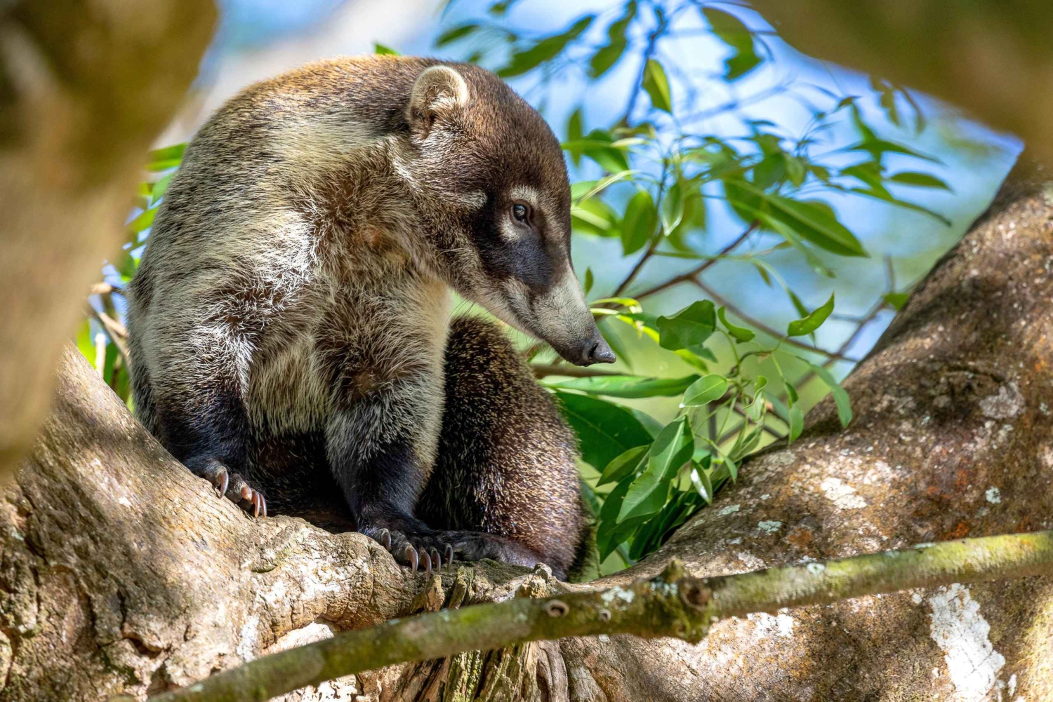 Costa Rica: Longest and Fastest Hidden Jungle Water Slide