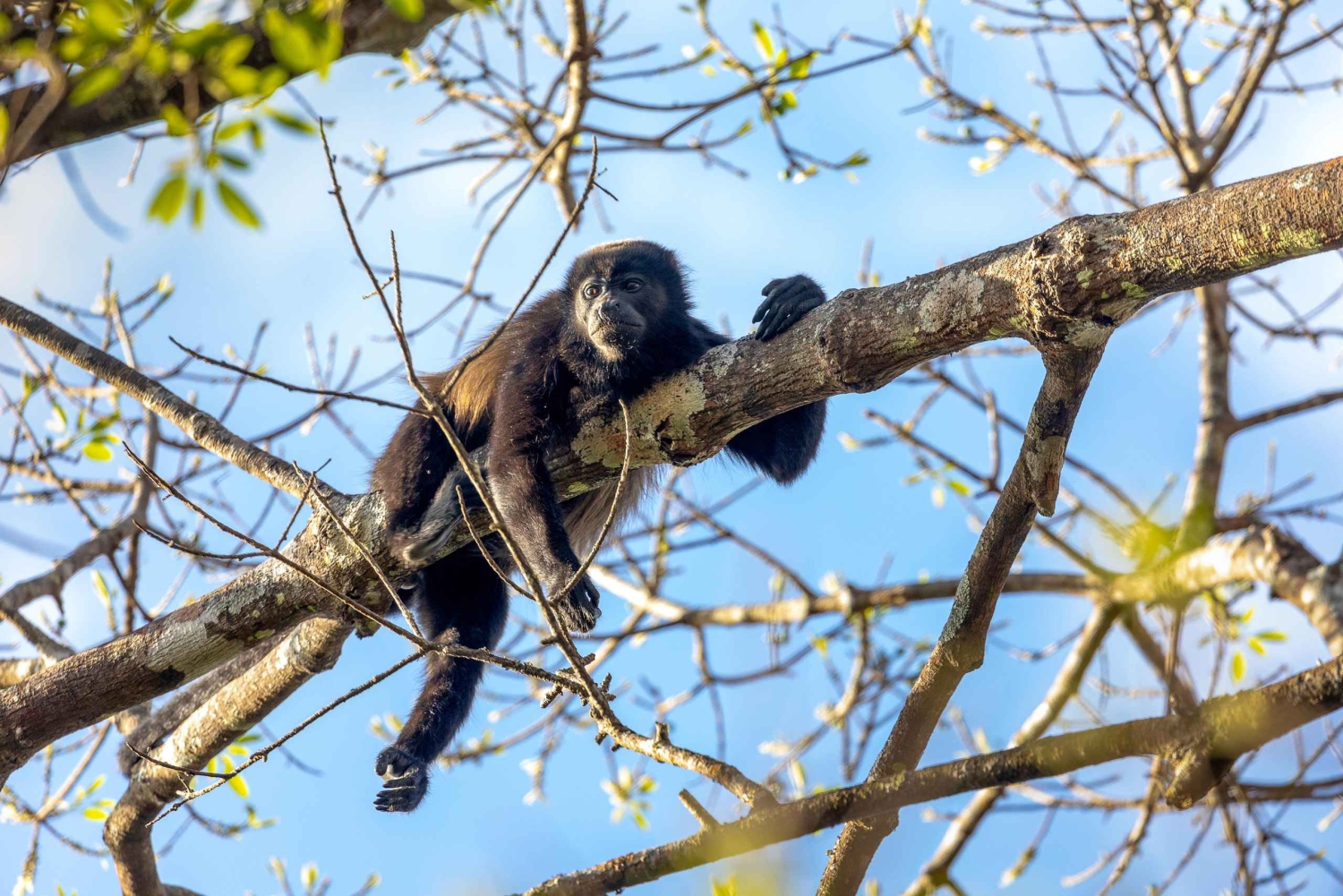 Costa Rica: Longest and Fastest Hidden Jungle Water Slide