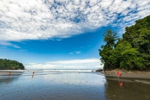 Costa Rican mangrovekierros: Terraba National Wetlands - Uvita
