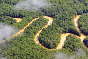 Tour delle mangrovie in Costa Rica: Zone umide nazionali di Terraba - Uvita