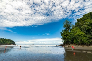 Tour delle mangrovie in Costa Rica: Zone umide nazionali di Terraba - Uvita