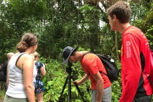 コスタリカマヌエル・アントニオ国立公園ガイドツアー