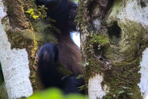 コスタリカマヌエル・アントニオ国立公園ガイドツアー