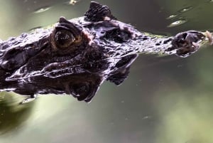 コスタリカマヌエル・アントニオ国立公園ガイドツアー
