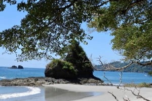 Costa Rica: Manuel Antonio National Park Grupp guidad tur