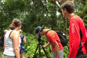 Costa Rica: Manuel Antonio National Park Grupp guidad tur