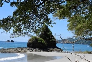 コスタリカマヌエル・アントニオ国立公園ガイドツアー