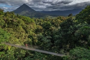 Costa Rica: Mistico Hanging Bridges Guided Tour