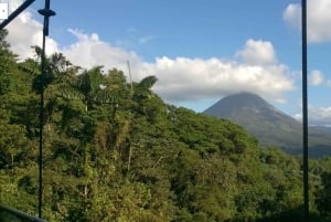 Costa Rica: Mistico Hanging Bridges Guided Tour