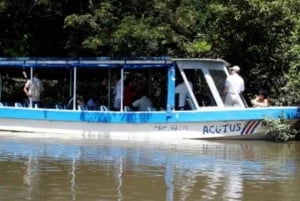 Costa Rica: Palo Verde National Park River Cruise