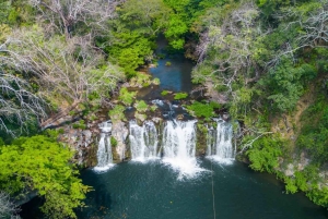 Costa Rica: Ponderosa Adventure Park Premium Teekisia
