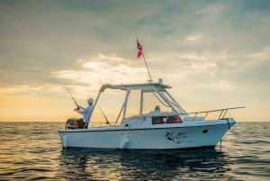 Costa Rica: Sport Fishing Half Day Private Guided Experience