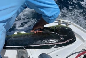 Costa Rica: Sport Fishing Half Day Private Guided Experience