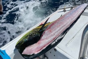 Costa Rica: Sport Fishing Half Day Private Guided Experience