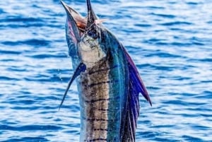Costa Rica: Sport Fishing Half Day Private Guided Experience