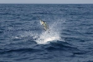 Costa Rica: Sport Fishing Half Day Private Guided Experience