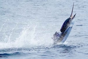 Costa Rica: Sport Fishing Half Day Private Guided Experience