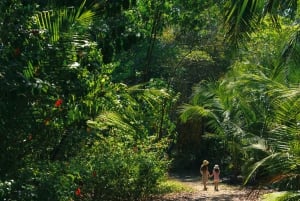 Costa rica travel planning - tailor -made trips