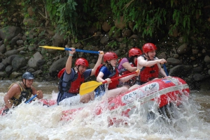 Costa Rica: Río Balsa Rafting-avontuur van een halve dag