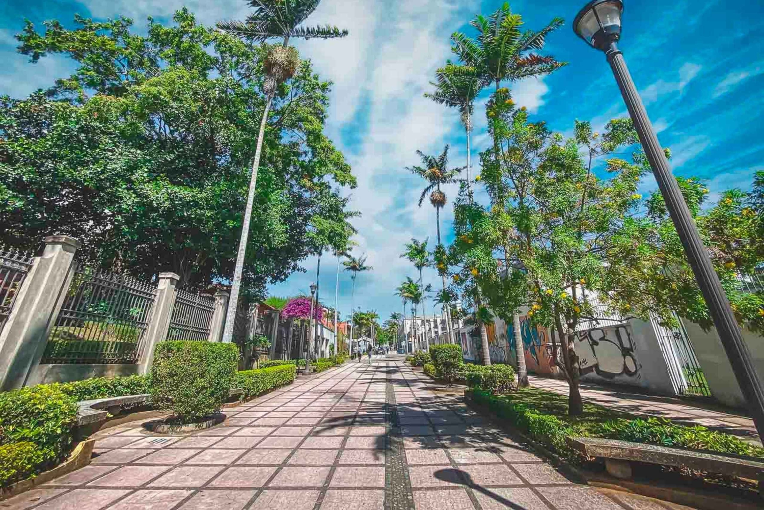 Costa Rica San Jose: SJO Flygplats - Centrum Privat Transfer